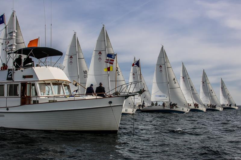 Port of Los Angeles Harbor Cup photo copyright Bronny Daniels / Joysailing taken at Los Angeles Yacht Club and featuring the Catalina 37 class