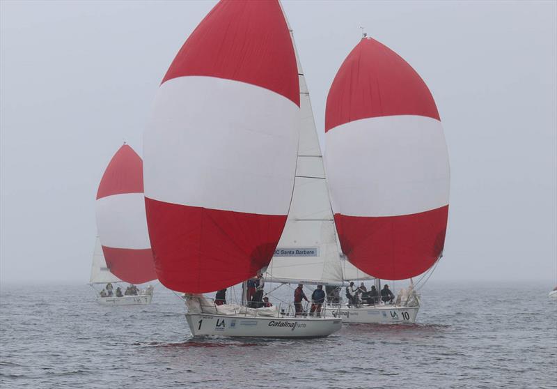 2018 Port of Los Angeles Harbor Cup - Day 2 photo copyright Bronny Daniels / Joysailing taken at Los Angeles Yacht Club and featuring the Catalina 37 class