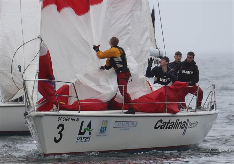 2018 Port of Los Angeles Harbor Cup - Day 2 photo copyright Bronny Daniels / Joysailing taken at Los Angeles Yacht Club and featuring the Catalina 37 class