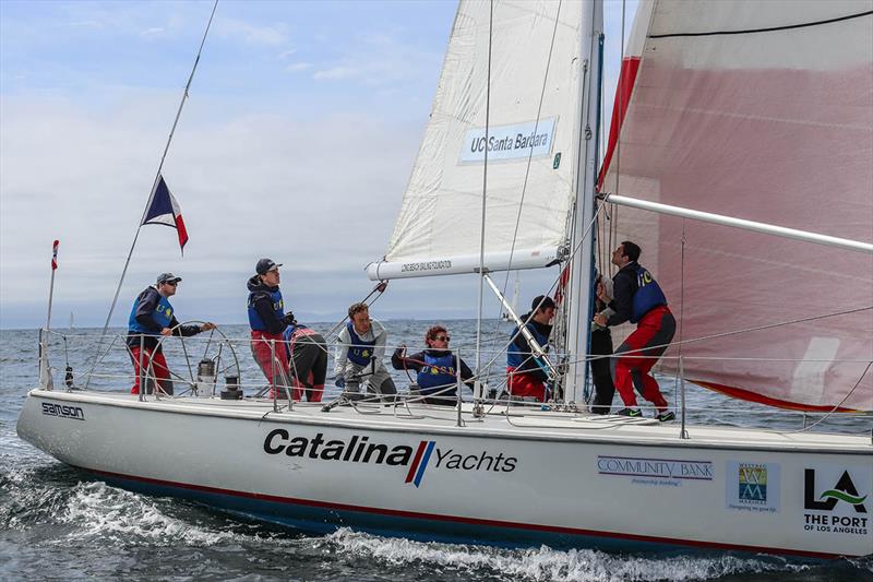 UCSB - 2018 Port of Los Angeles Harbor Cup - Day 3 photo copyright Bronny Daniels / Joysailing taken at Los Angeles Yacht Club and featuring the Catalina 37 class