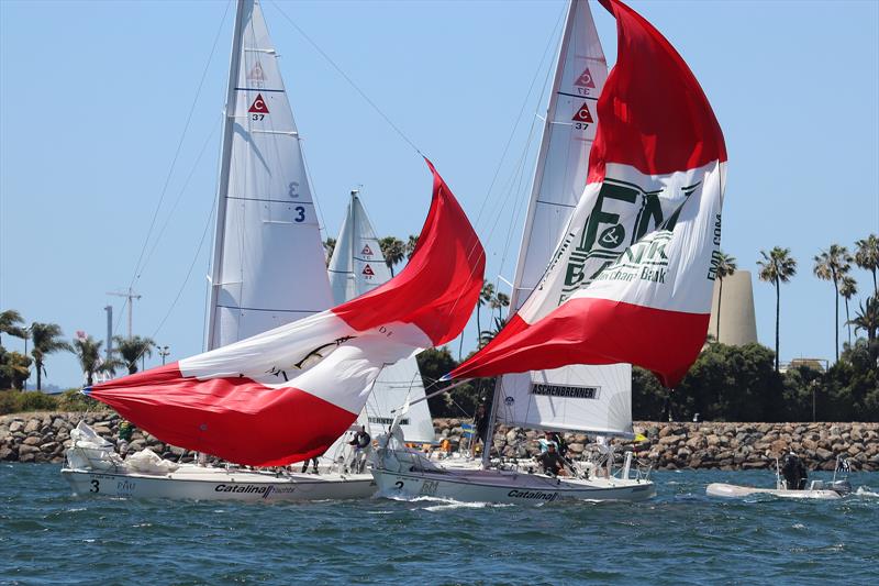 Congressional Cup - Day 2, Long Beach Yacht Club, April 19, 2018 - photo © Bronny Daniels