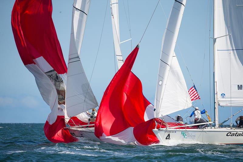 Congressional Cup - Day 2, Long Beach Yacht Club, April 19, 2018 - photo © Sharon Green / ULTIMATE SAILING