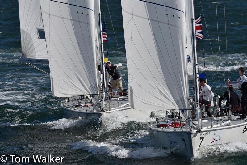 Congressional Cup Day 3, Long Beach Yacht Club, April 20, 2018 photo copyright Tom Walker taken at Long Beach Yacht Club and featuring the Catalina 37 class