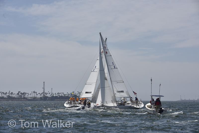 Congressional Cup Day 4, Long Beach Yacht Club, April 21, 2018 - photo © Tom Walker