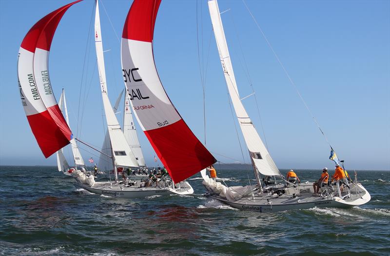 Final Day, 2018 Congressional Cup, Long Beach, April 21, 2018 photo copyright Bronny Daniels taken at Long Beach Yacht Club and featuring the Catalina 37 class