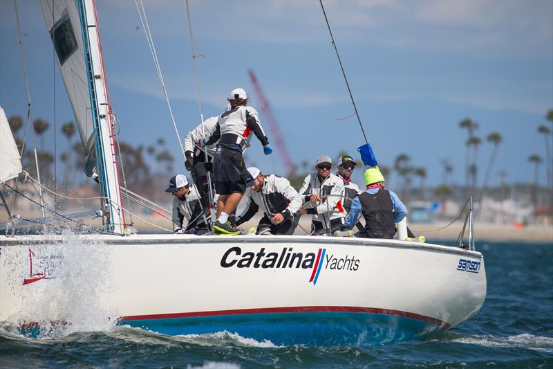 Taylor Cranfield, Day 2, Congressional Cup, Long Beach Yacht Club photo copyright Bronny Daniel taken at Long Beach Yacht Club and featuring the Catalina 37 class