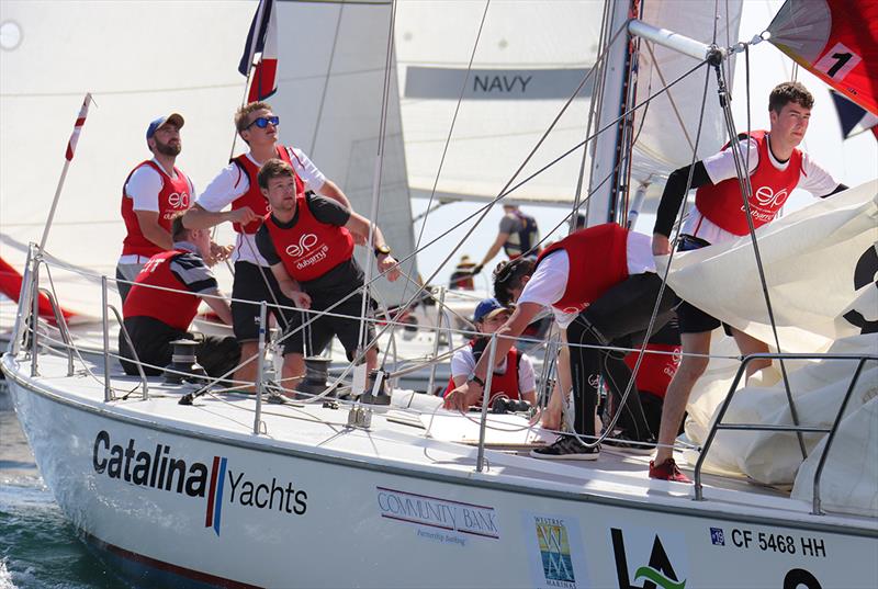 2019 Port of Los Angeles Harbor Cup regatta - Day 3 photo copyright Bronny Daniels / JoySailing taken at Los Angeles Yacht Club and featuring the Catalina 37 class