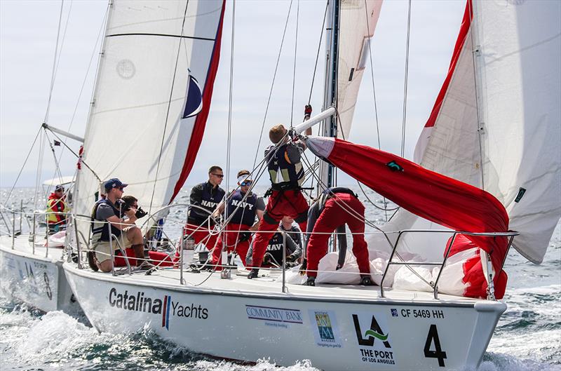 2019 Port of Los Angeles Harbor Cup regatta - Day 3 photo copyright Bronny Daniels / JoySailing taken at Los Angeles Yacht Club and featuring the Catalina 37 class