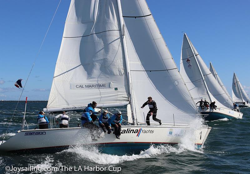 Port of Los Angeles Harbor Cup photo copyright Bronny Daniels / Joysailing taken at Los Angeles Yacht Club and featuring the Catalina 37 class