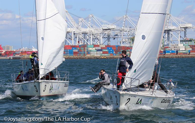 Port of Los Angeles Harbor Cup photo copyright Bronny Daniels / Joysailing taken at Los Angeles Yacht Club and featuring the Catalina 37 class