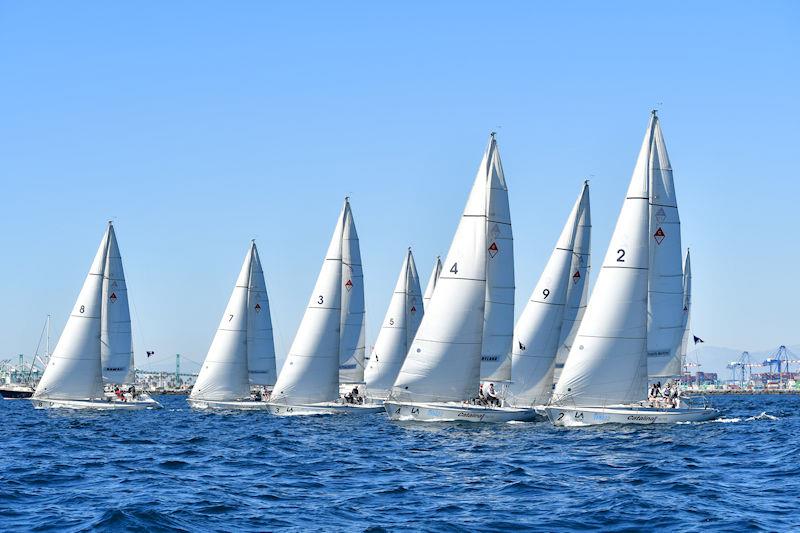 Los Angeles Harbor Cup Day 3 photo copyright Laurie Morrison Photography taken at Los Angeles Yacht Club and featuring the Catalina 37 class