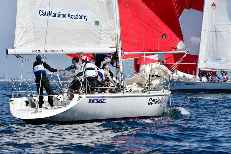 Los Angeles Harbor Cup Day 3 photo copyright Laurie Morrison Photography taken at Los Angeles Yacht Club and featuring the Catalina 37 class