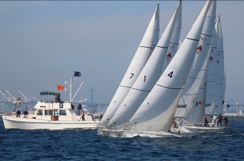 Port of Los Angeles Harbor Cup photo copyright Laurie Morrison Photography taken at Los Angeles Yacht Club and featuring the Catalina 37 class