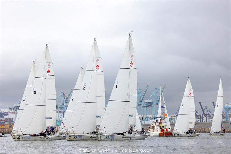 Port of Los Angeles Harbor Cup Regatta photo copyright Sharon Green / ultimatesailing.com taken at Los Angeles Yacht Club and featuring the Catalina 37 class