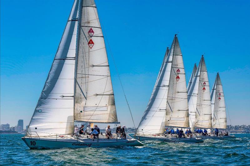 Long Beach Race Week photo copyright Tom Walker taken at Long Beach Yacht Club and featuring the Catalina 37 class