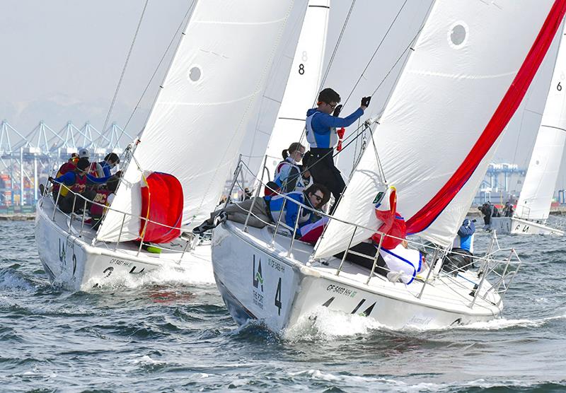 Pola Harbor Cup - photo © Betsy Crowfoot