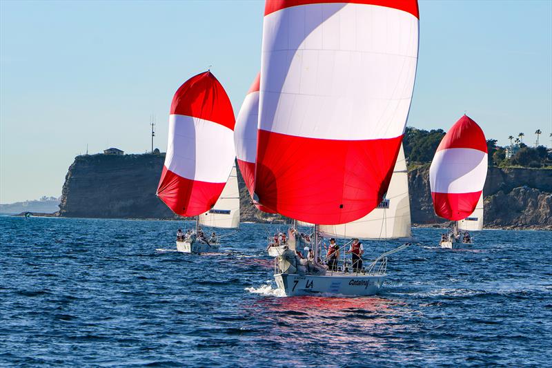 POLA Harbor Cup at Los Angeles Day 1