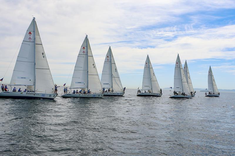 POLA Harbor Cup 2026 - photo © Joysailing