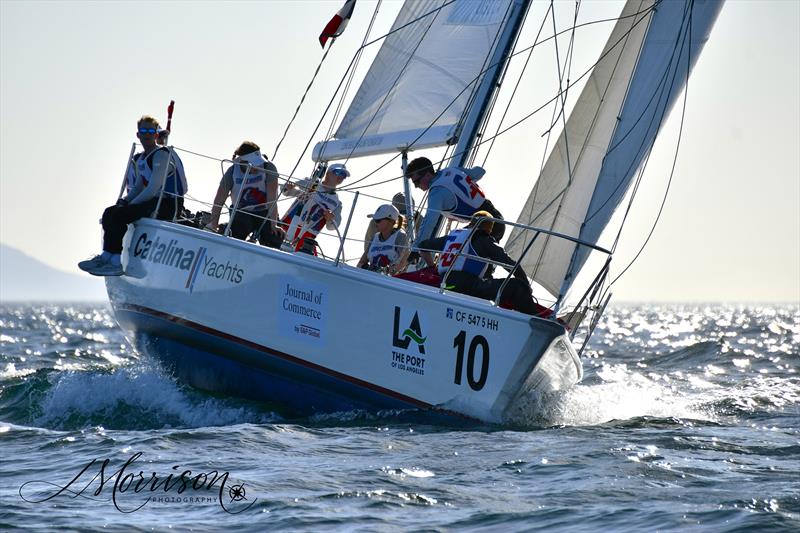 POLA Harbor Cup 2026 - photo © Morrison Photo Ventures