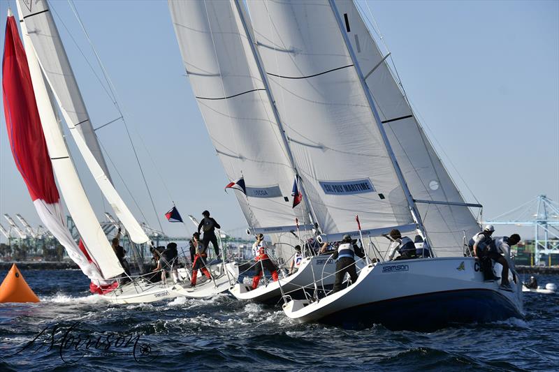 POLA Harbor Cup 2026 - photo © Morrison Photo Ventures