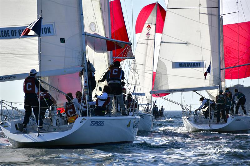 POLA Harbor Cup 2026 - photo © Morrison Photo Ventures