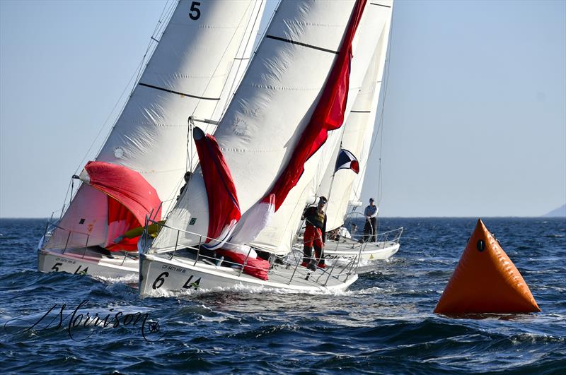 POLA Harbor Cup 2026 - photo © Morrison Photo Ventures