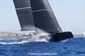 Maxi Yacht Rolex Cup 2023