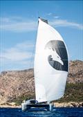 © Multihull Cup