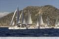 The 15th Catamarans Cup International