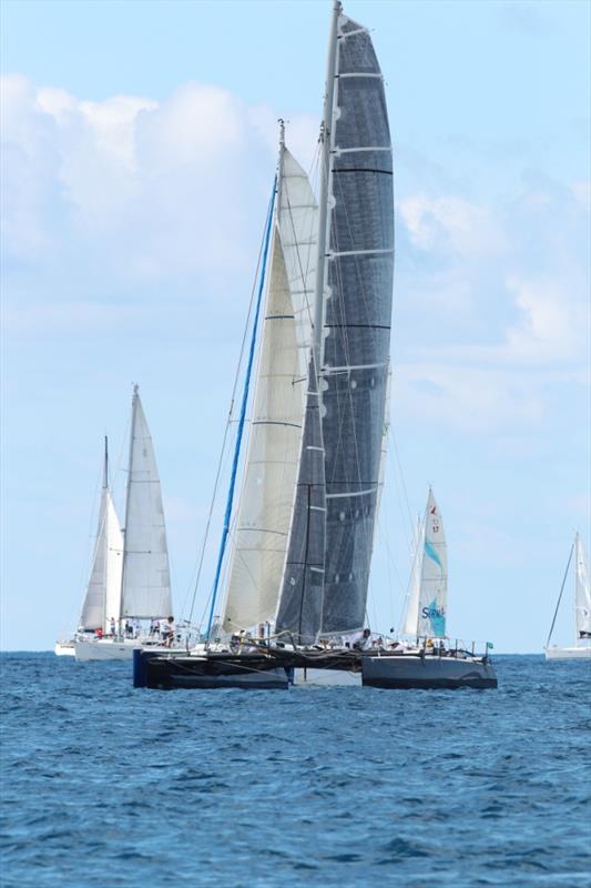 100 boats and counting for the 2014 St. Maarten Heineken Regatta photo copyright Tim Wright / www.photoaction.com taken at Sint Maarten Yacht Club and featuring the Catamaran class