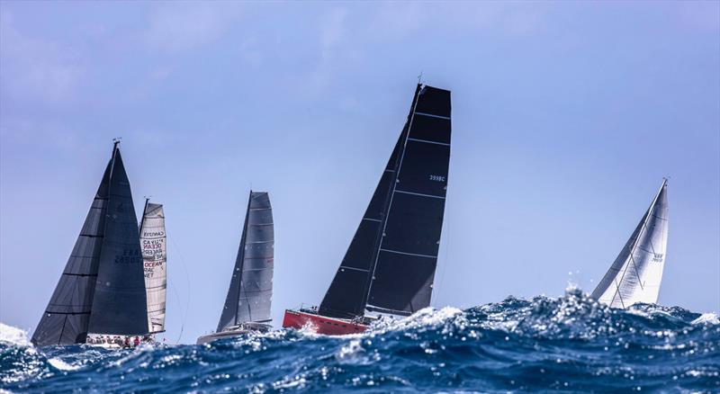 Race 2 on Lloyd Thornburg's Phaedo at Les Voiles de St Barth photo copyright Rachel Fallon-Langdon / Team Phaedo taken at Saint Barth Yacht Club and featuring the Catamaran class