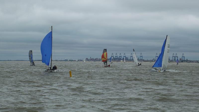 Felixstowe Ferry Sailing Club Cat Open 2019 photo copyright John Ranson taken at Felixstowe Ferry Sailing Club and featuring the Catamaran class