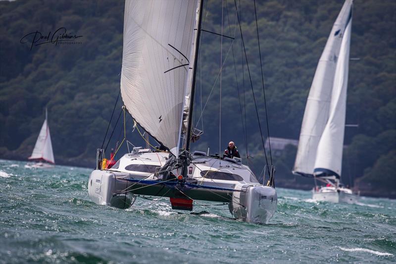 Fun on the water in Plymouth photo copyright RWYC taken at  and featuring the Catamaran class