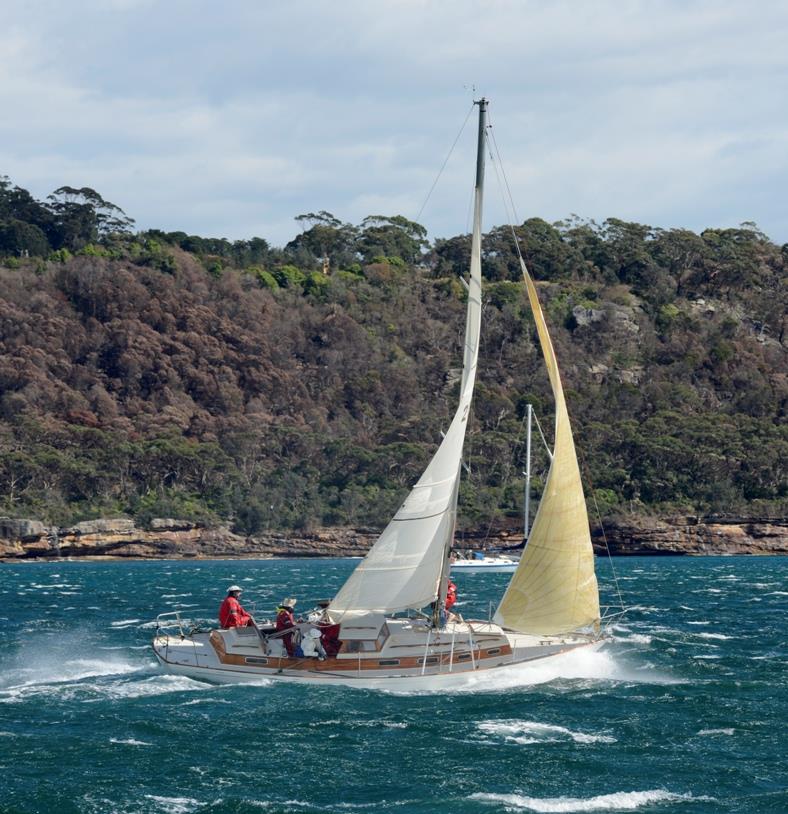 At the start of the SASC Lion Island Race last year, September, 2017 - photo © John Maclurcan