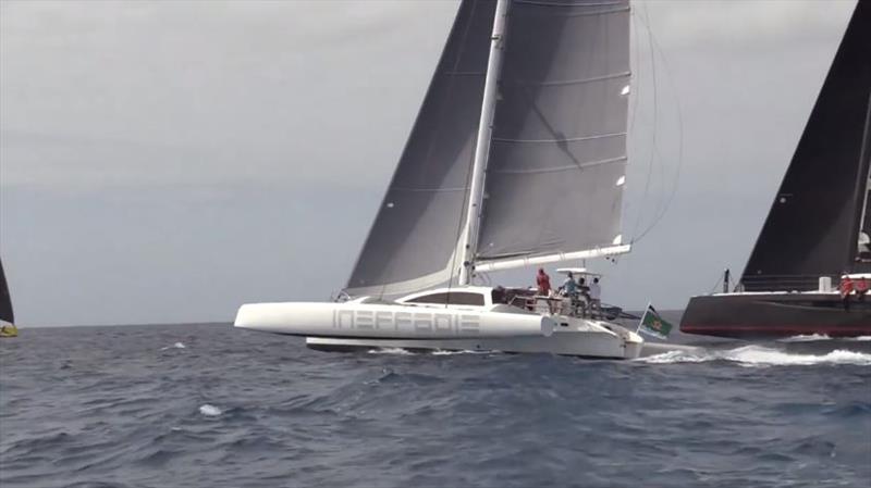 Ineffable Rapido 60 catamaran at 39th St. Maarten Heineken Regatta photo copyright Event Media taken at Sint Maarten Yacht Club and featuring the Catamaran class