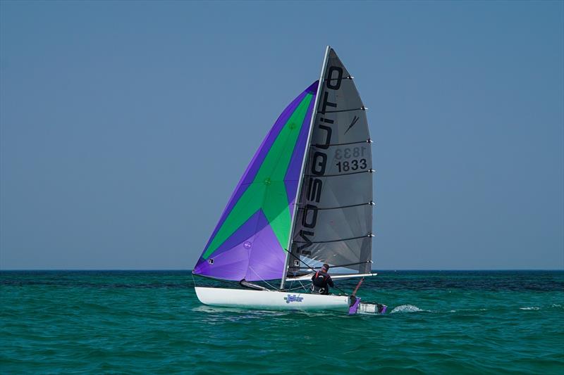 Matt Stone won the Mosquito Spinnaker division - 2020 Adelaide National Regatta photo copyright Brad Halstead taken at Adelaide Sailing Club and featuring the Catamaran class