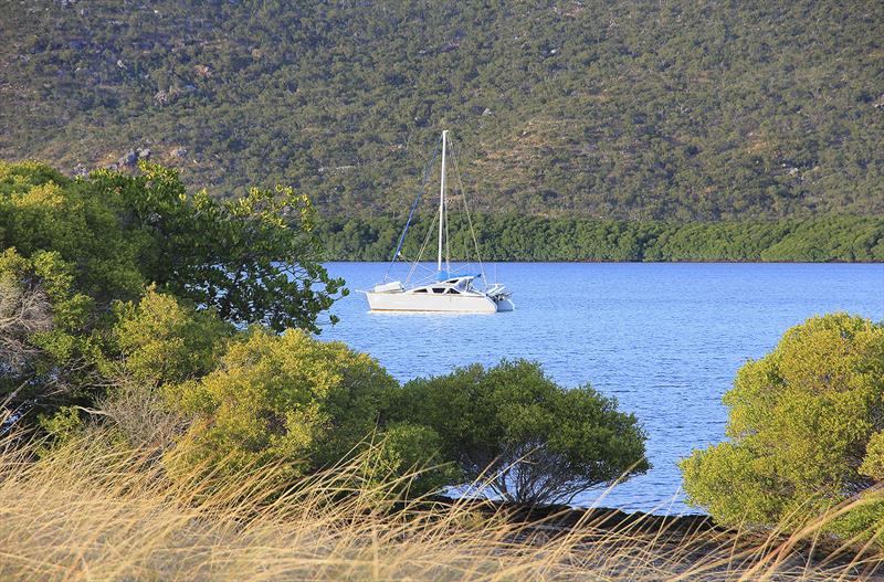 Making the most of her shallow draft, this cruising cat is nestled away up against the mangroves. - photo © John Curnow