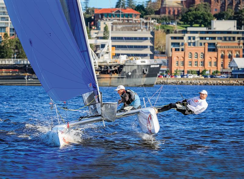 2023 Newcastle SailFest Regatta - Cock of Harbour photo copyright Salty Dingo taken at Newcastle Cruising Yacht Club and featuring the Catamaran class