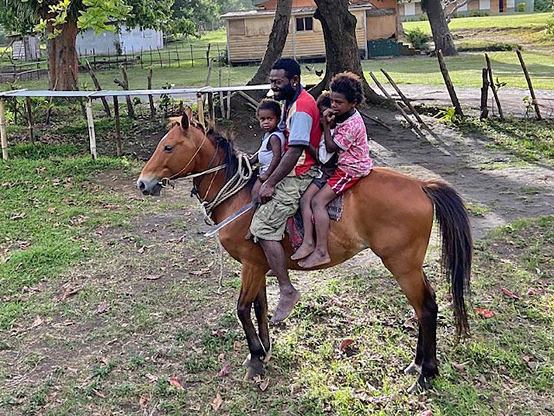 Vanuatu - Tanna Island - Not many can afford a horse either - photo © Renate Klocke