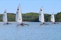 © James Bishop A Close Race - Challenger Travellers at Solway © James Bishop