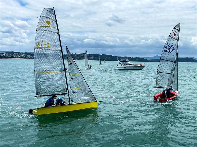 Northland Cherub - Northland Championship - January 2022 photo copyright NZ Cherub taken at  and featuring the Cherub class