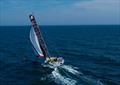 Koloa Maoli behind spinnaker
