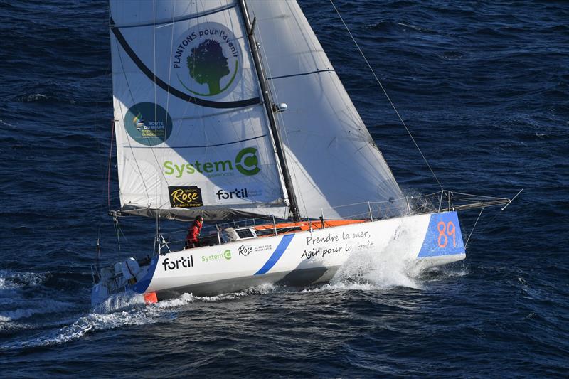Mathieu Claveau's Prendre la mer, agir pour la forêt - photo © Yohan Brandt