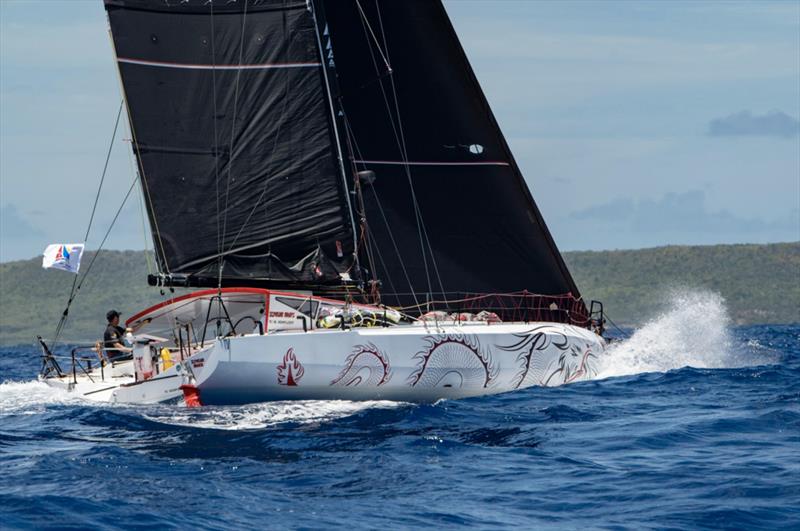 Michael Hennessy's scow bow Class40 Scowling Dragon - photo © Ted Martin
