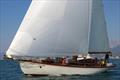 Oenone (1935) enjoys the Viareggio Historical Sails Meeting © P. Maccione