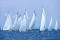 Argentario Sailing Week 2025, day 4 © Marco Solari