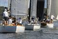 Great Veterans Race 2025 &copy; Andrea Francolini