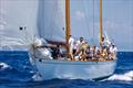 Varuna VII - 19th Puig Vela Clàssica Barcelona &copy; Nico Martínez