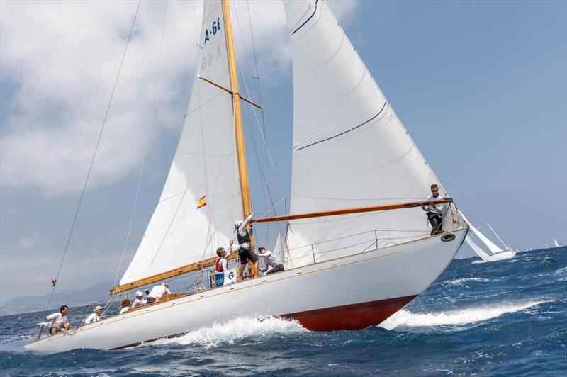 Cippino at the Puig Vela Clàssica Barcelona photo copyright Nico Martinez / www.MartinezStudio.es taken at Real Club Nautico de Barcelona and featuring the Classic Yachts class