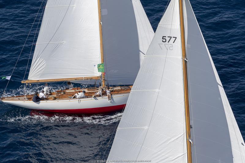 Les Voiles de Saint-Tropez 2019 day 6 photo copyright Gilles Martin-Raget taken at Société Nautique de Saint-Tropez and featuring the Classic Yachts class